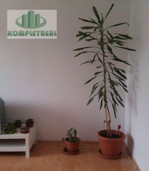 Na prenájom 2iz krásny byt Vrakuňa Toplianska ul.