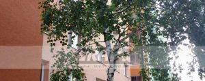Rk-graft ponúka 2-izb. byt - Hronská ul. - Dolné Hony