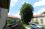 NA PREDAJ, 2 izbový tehlový byt - zrekonštruovaný, Sihoť I, Trenčín – fotka 2