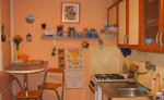2 izbový byt v meste s balkonom, 50 m2 – fotka 2