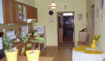 Prenajom 2 iz. Rd - ružinov - BA/psík Áno – fotka 3