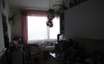Ihned predam – fotka 2