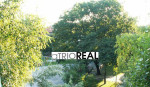 aTRIOREAL - 2I TEHLOVY BYT - RUZINOV, NIVY - 500 BYTOV ! – fotka 2